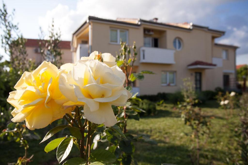Apartments Emma Biograd Na Moru Esterno foto